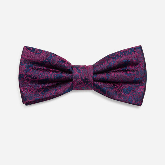 FLAVIO beere paisley