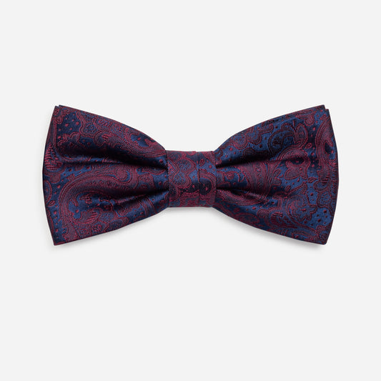 FLAVIO bordeaux paisley