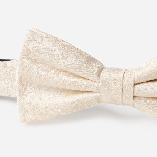 FABIO champagner paisley