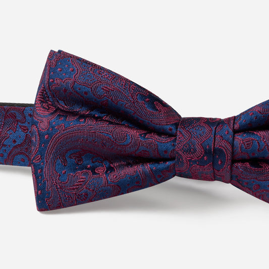 FLAVIO bordeaux paisley