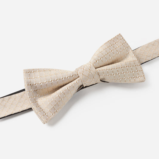 PALMIRA champagner minimal